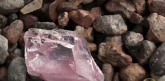 29.5-ct Protea Pink Alluvial Diamond to be Sold