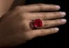 $34.8m Estrela de Fura Ruby Smashes World Record