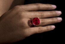 $34.8m Estrela de Fura Ruby Smashes World Record