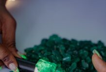 Grizzly Emerald Auction Generates Record US$48.63 million