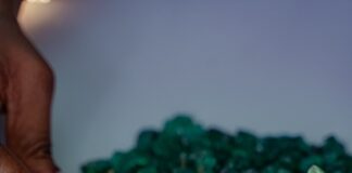 Grizzly Emerald Auction Generates Record US$48.63 million