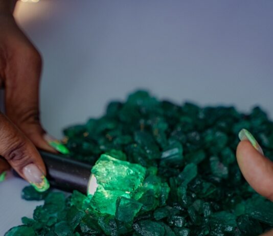 Grizzly Emerald Auction Generates Record US$48.63 million