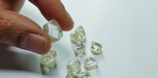 Indian Diamond Industry to Resume Rough Diamond Imports from 15th December 2023
