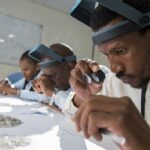 Lucara Forecasts Increased Revenue in 2024