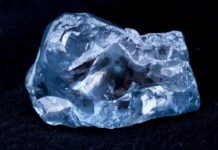 Petra's Prices Boosted $8.2m Blue