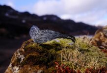 AURUM By Guðbjörg Creates Icelandic Jewellery Inspired by ‘SENUA’S SAGA: HELLBLADE II”