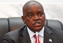 Botswana: De Beers Sell-Off is "Best Thing"
