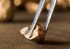 Jewelry Business "Sold Fake Gold Nuggets"