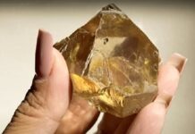 647-Carat Diamond Unearthed in Brazil Marks Historic Discovery