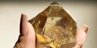 647-Carat Diamond Unearthed in Brazil Marks Historic Discovery