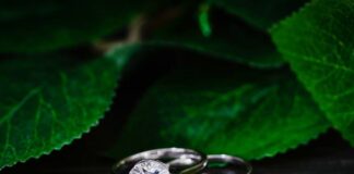 GJEPC Champions Green Revolution in Jewellery Trade on World Environment Day