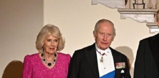 Queen Camilla Turns State Visit Jewelry Into a Lesson in Royal Storytelling